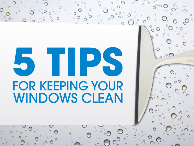 5 Tips for Keeping Your Windows Clean!